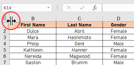 Excel में पहले कॉलम को अनहाइड करें