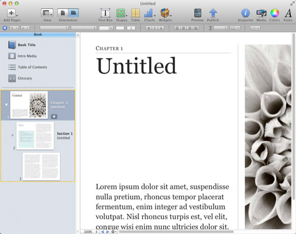 Ibooks लेखक 1