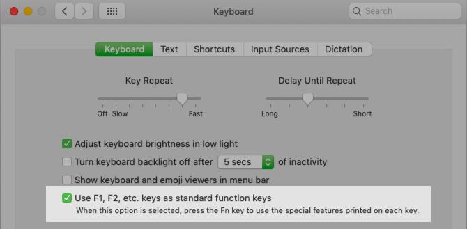 macOS सेटिंग फंक्शन कुंजी bahvior फ्लिप करने के लिए