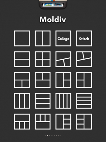 moldiv -1