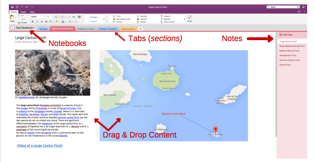 OneNote संगठन उदाहरण स्क्रीनशॉट