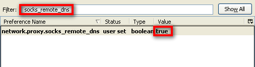 फ़ायरफ़ॉक्स-remote-dns-सेटिंग