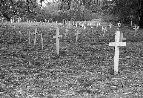 Google रीडर के बजाय क्या होना चाहिए? [आप ने हमें बताया] कब्रिस्तान gravestones