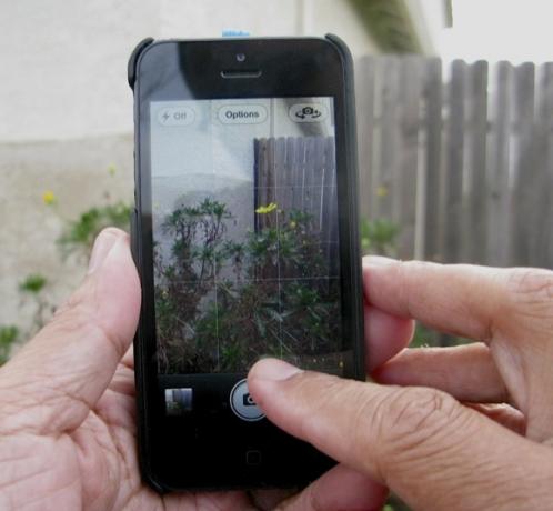 iPhone कैमरा का उपयोग कर